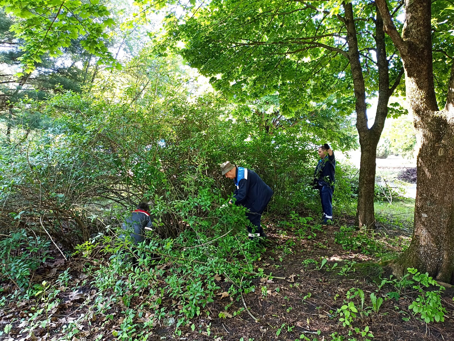 Заводчане провели генеральную уборку сквера