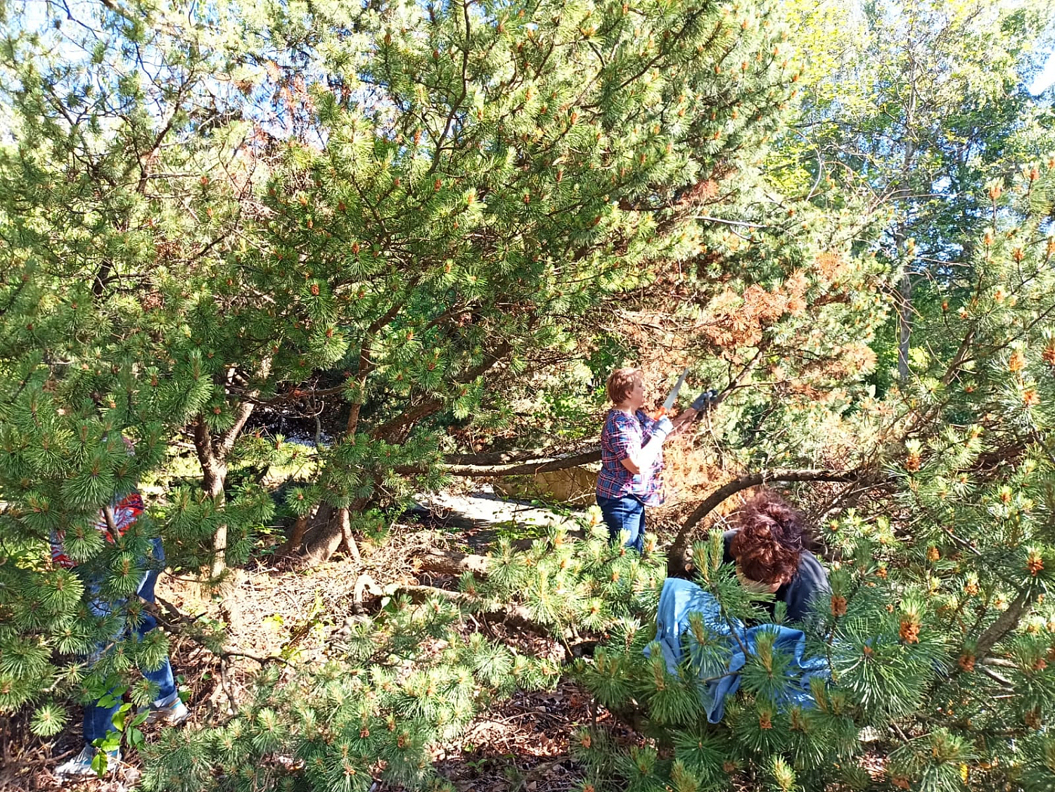 Заводчане провели генеральную уборку сквера